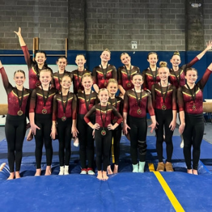 competition gymnastics team